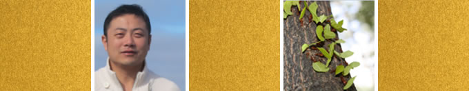 The people in the book